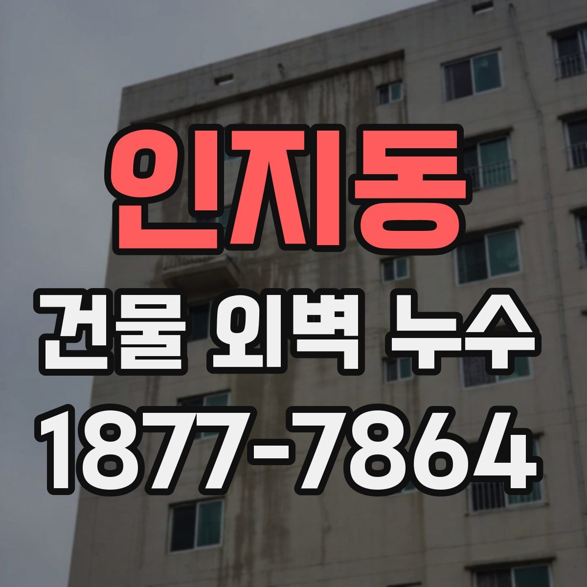 인지동 건물 외벽 누수
