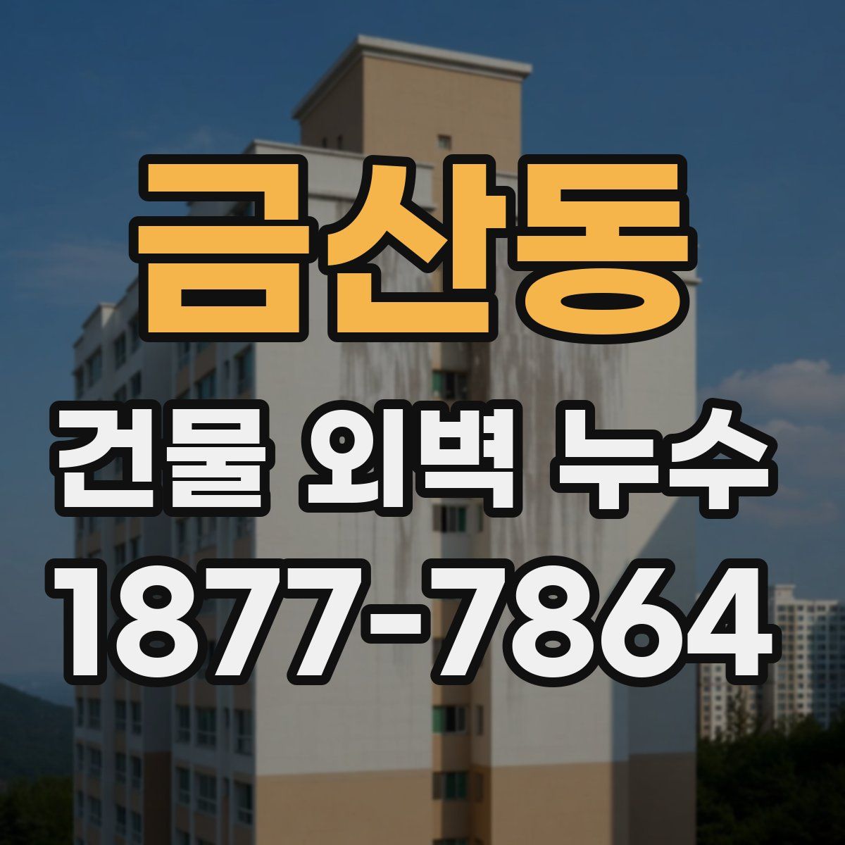 금산동 건물 외벽 누수
