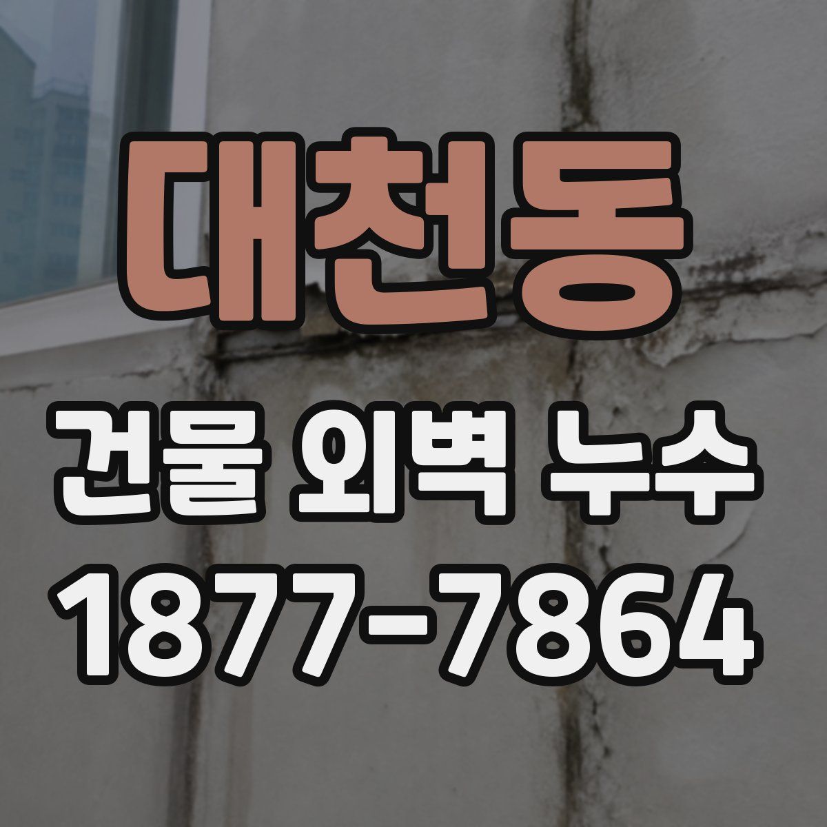 대천동 건물 외벽 누수