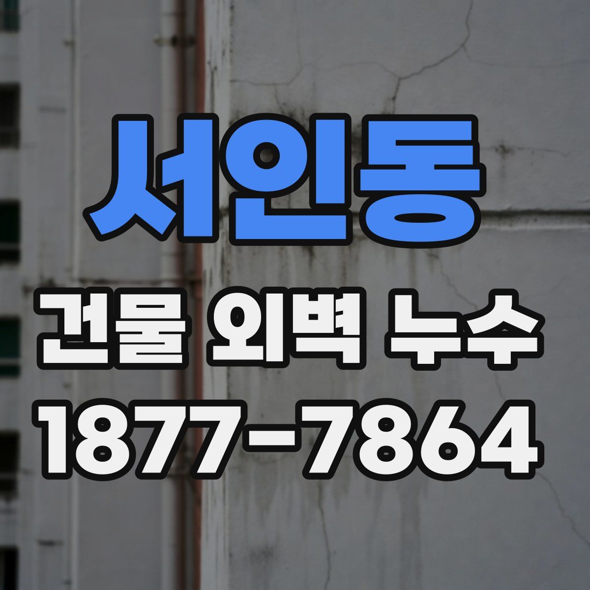 서인동 건물 외벽 누수