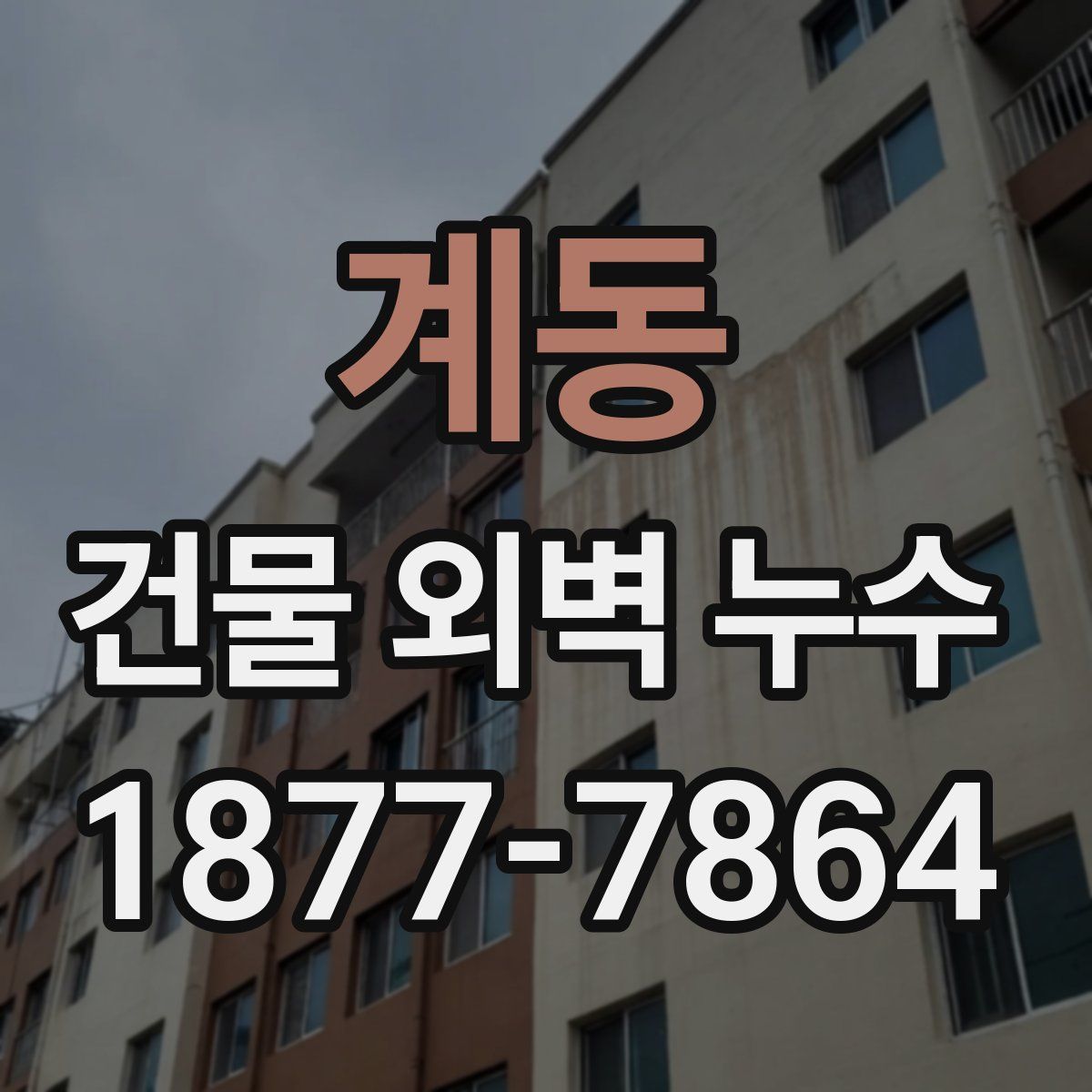 계동 건물 외벽 누수