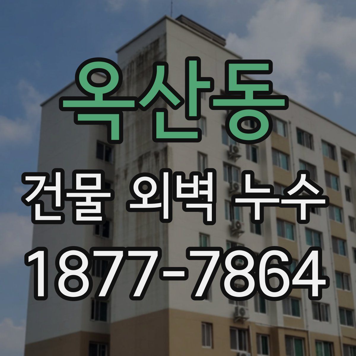 옥산동 건물 외벽 누수