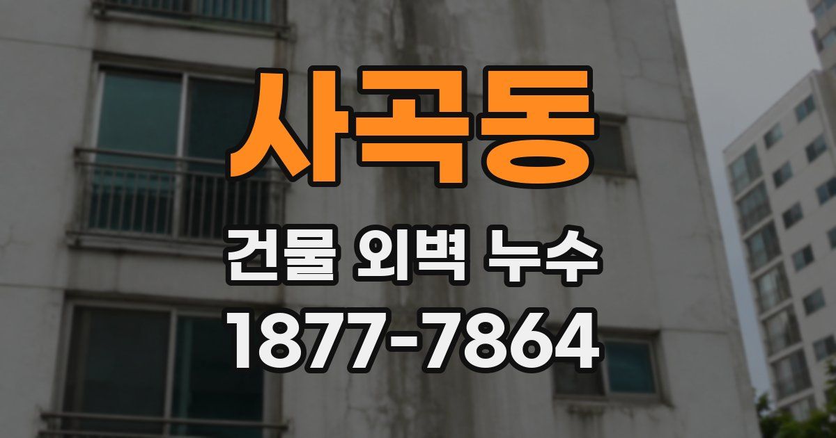 사곡동 건물 외벽 누수