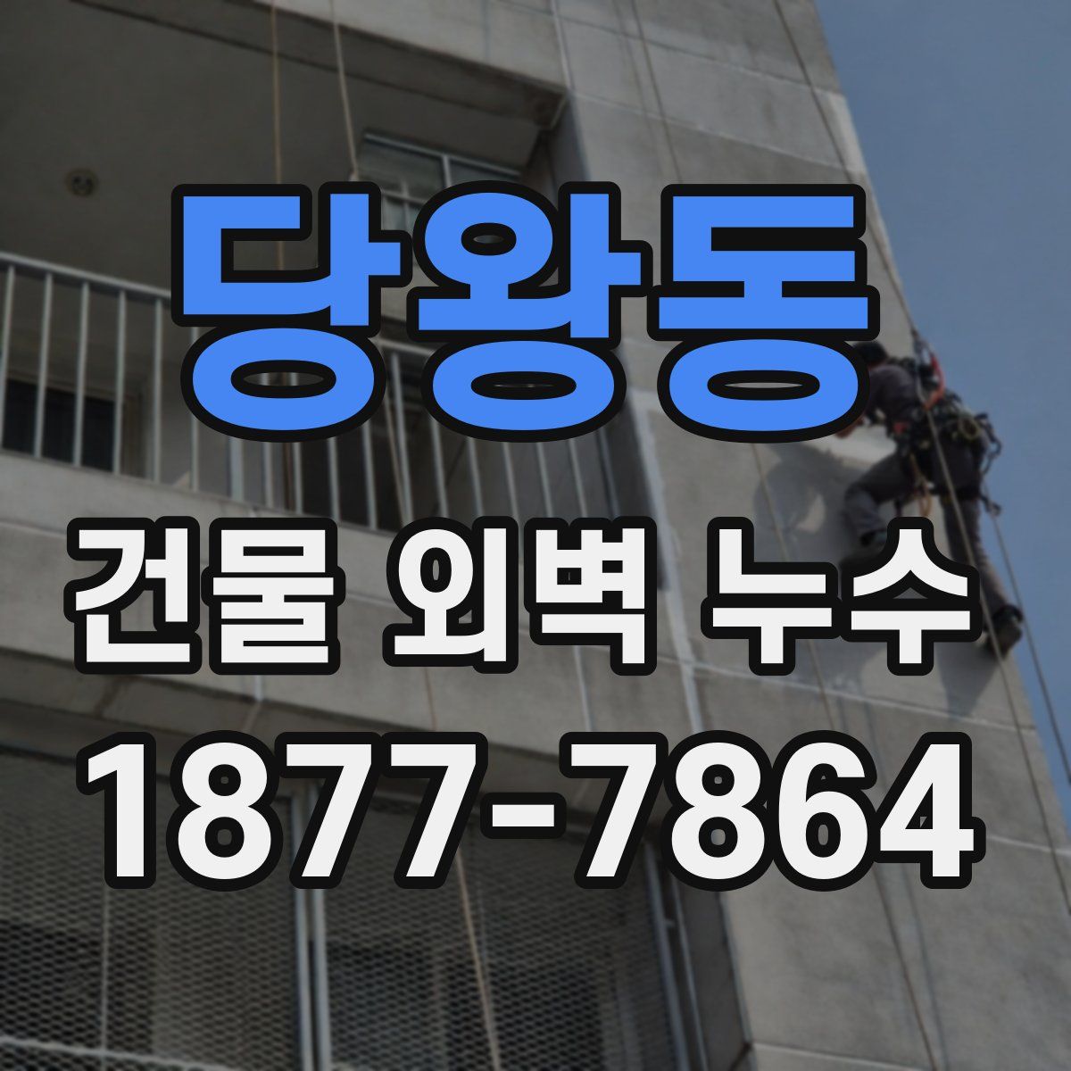 당왕동 건물 외벽 누수