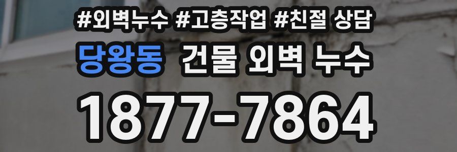 당왕동 건물 외벽 누수