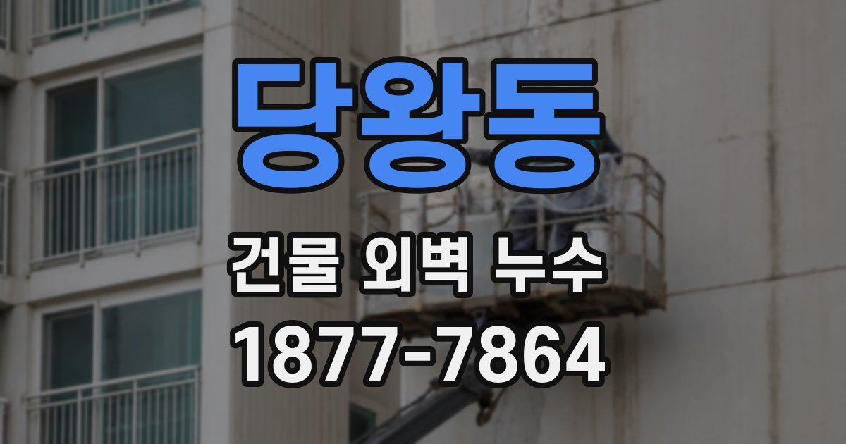 당왕동 건물 외벽 누수