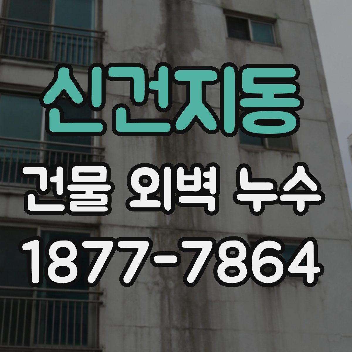 신건지동 건물 외벽 누수 문제를 늦추지 말아야 하는 이유