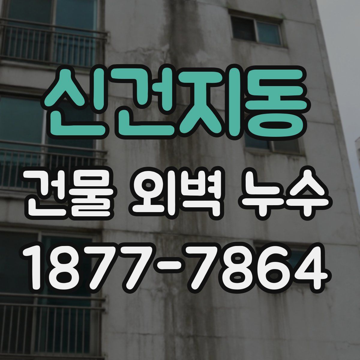 신건지동 건물 외벽 누수