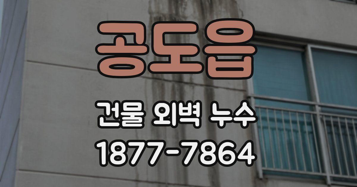 공도읍 건물 외벽 누수