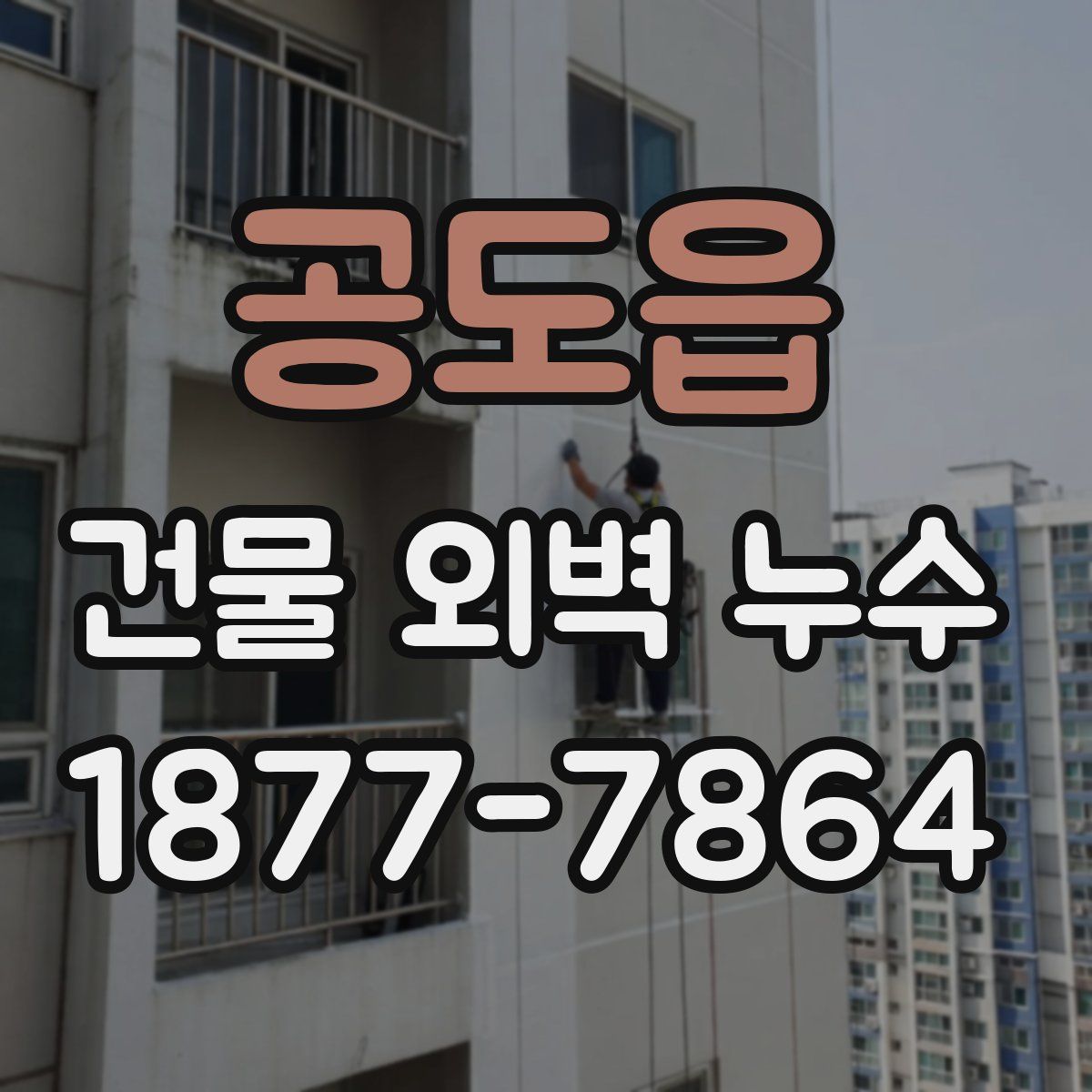공도읍 건물 외벽 누수