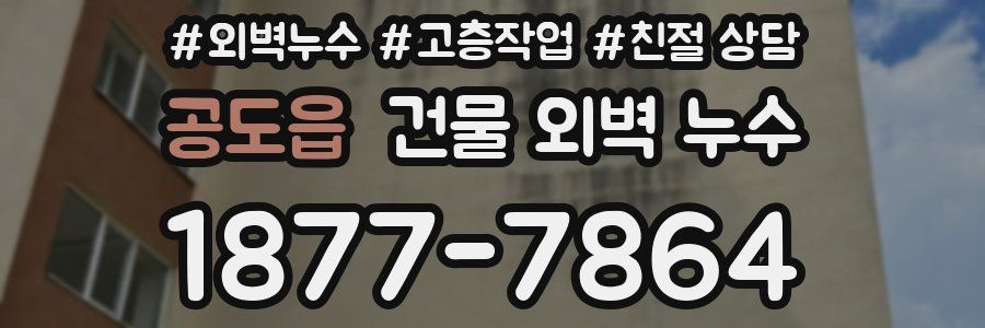 공도읍 건물 외벽 누수