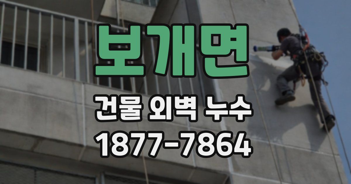 보개면 건물 외벽 누수