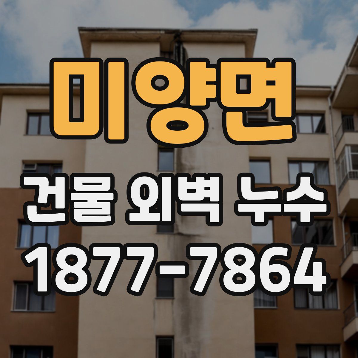 미양면 건물 외벽 누수