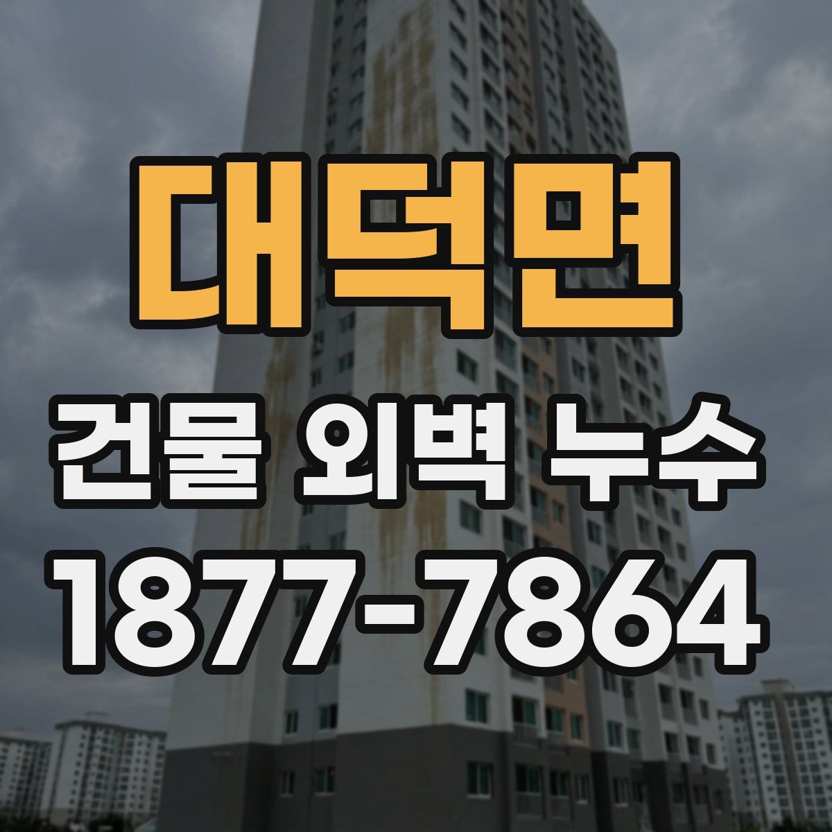 대덕면 건물 외벽 누수