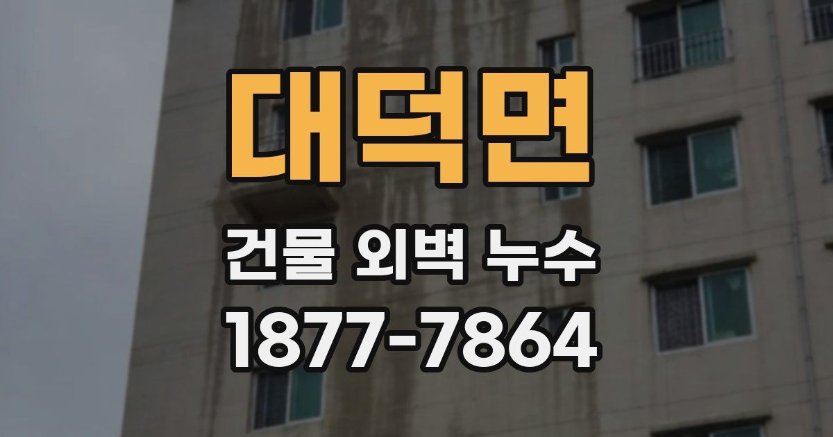 대덕면 건물 외벽 누수