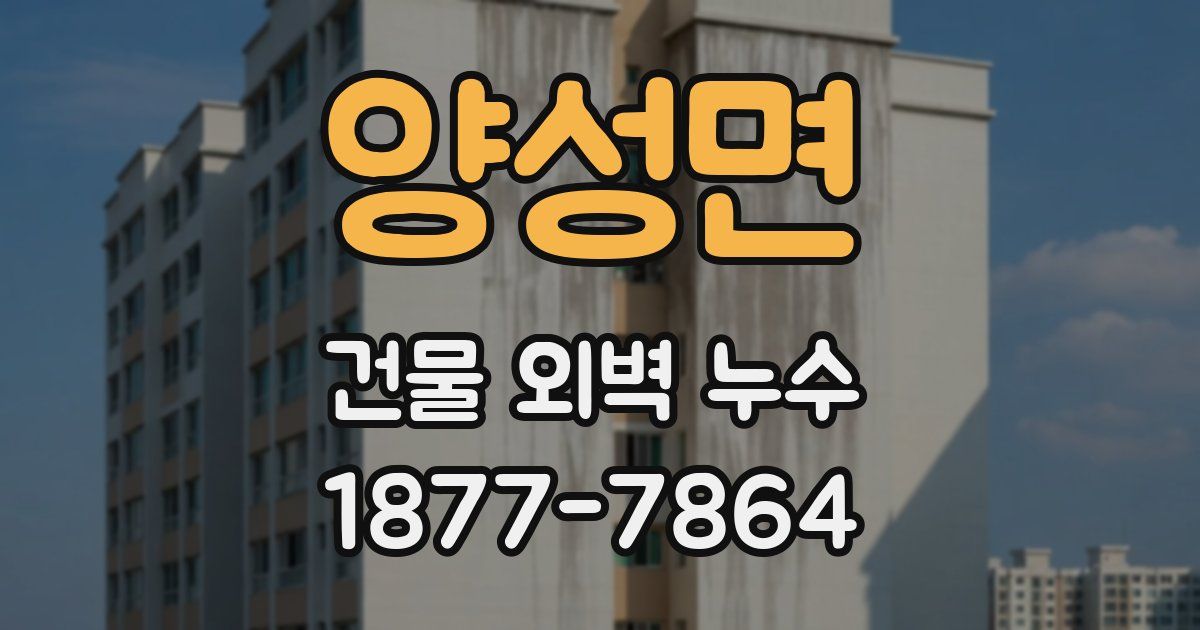 양성면 건물 외벽 누수
