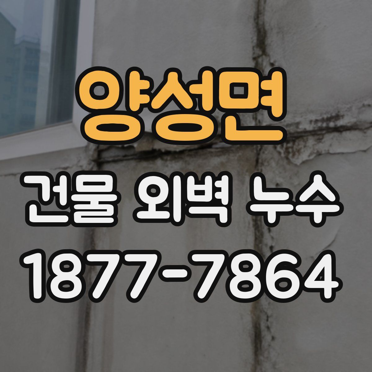 양성면 건물 외벽 누수