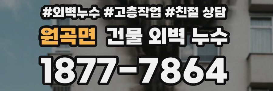 원곡면 건물 외벽 누수