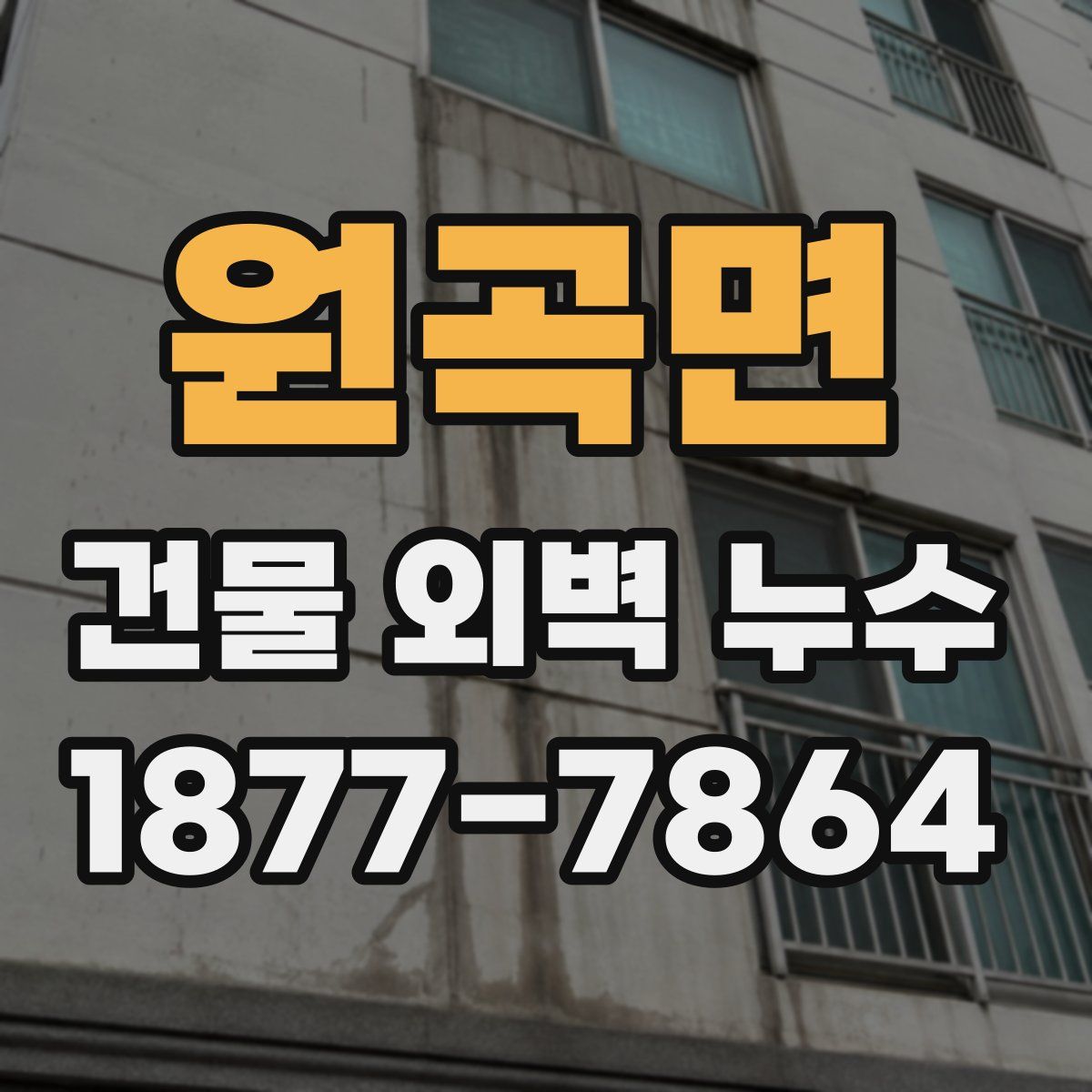 원곡면 건물 외벽 누수