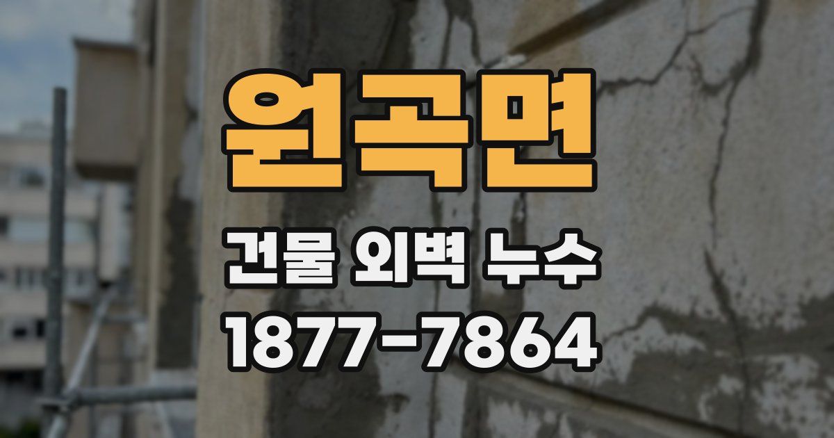 원곡면 건물 외벽 누수