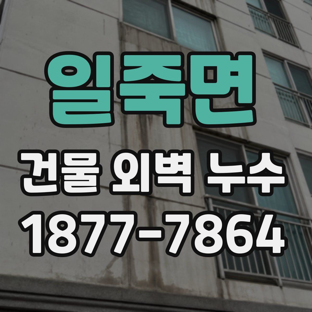 일죽면 건물 외벽 누수
