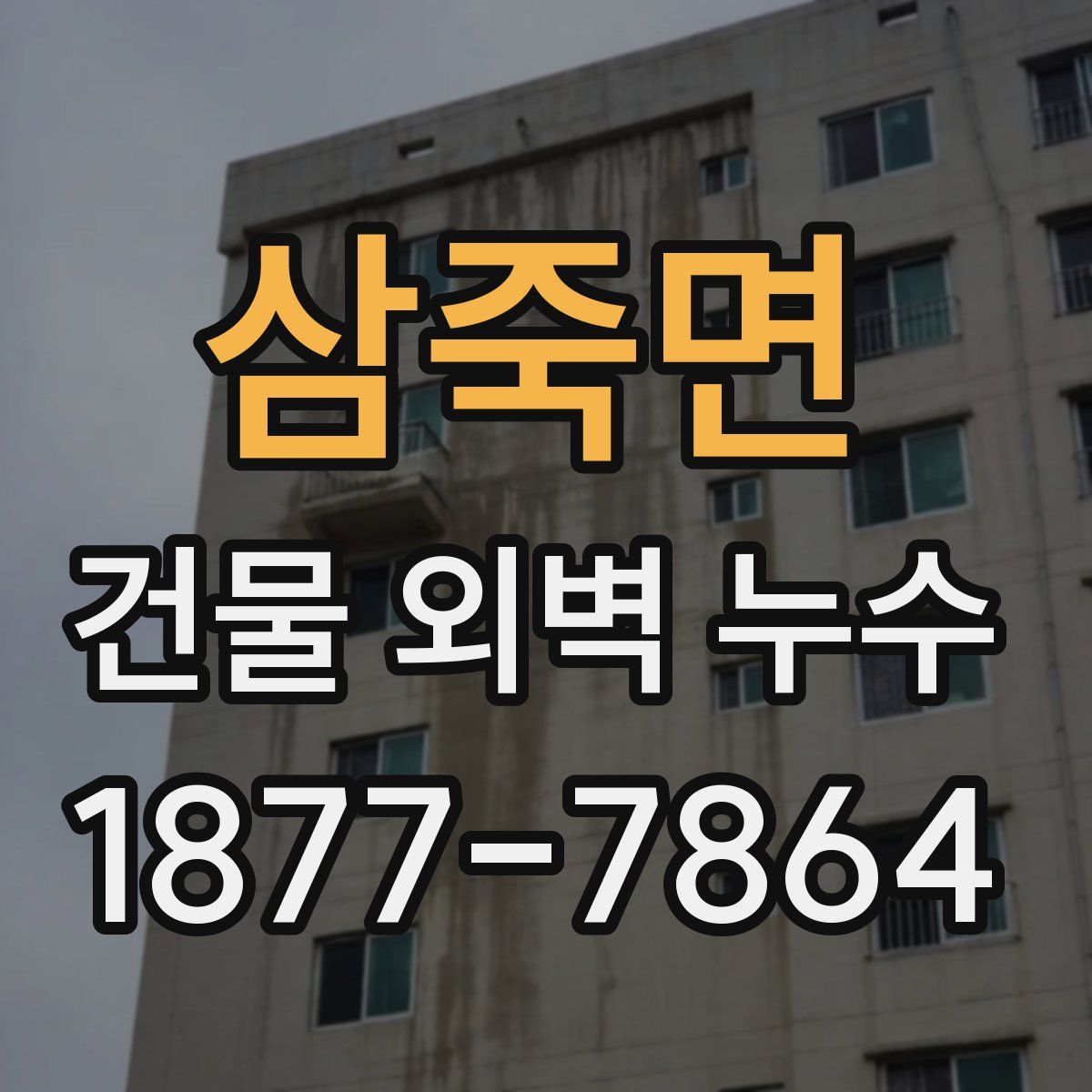 삼죽면 건물 외벽 누수