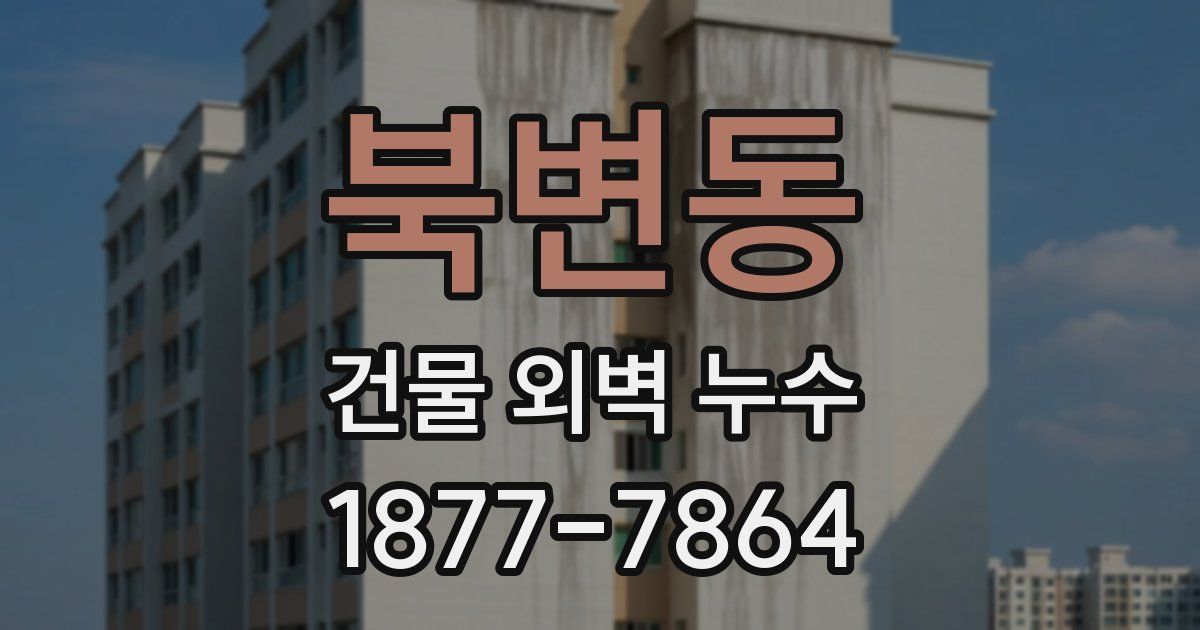 북변동 건물 외벽 누수