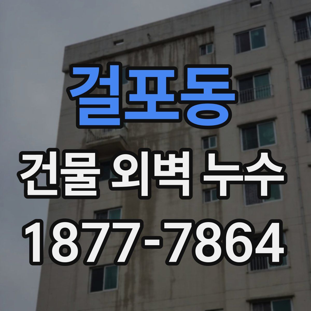걸포동 건물 외벽 누수