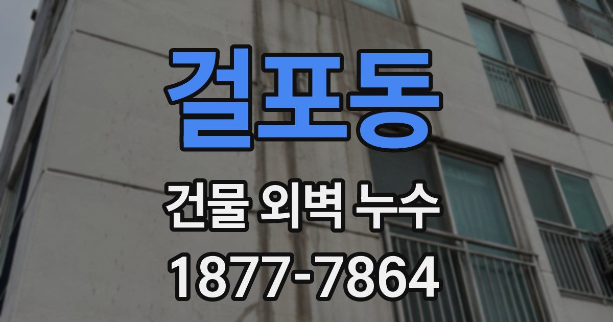 걸포동 건물 외벽 누수
