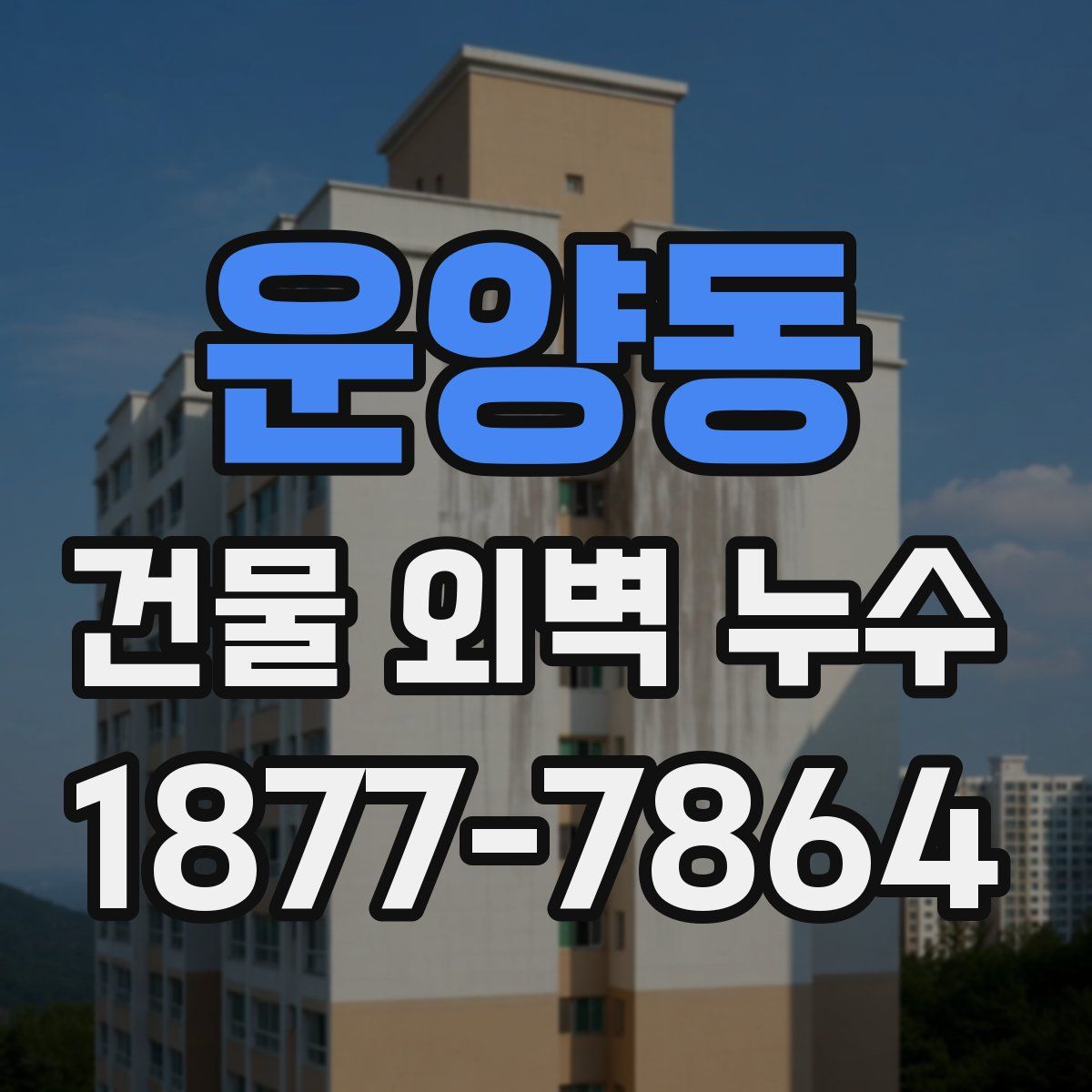 운양동 건물 외벽 누수