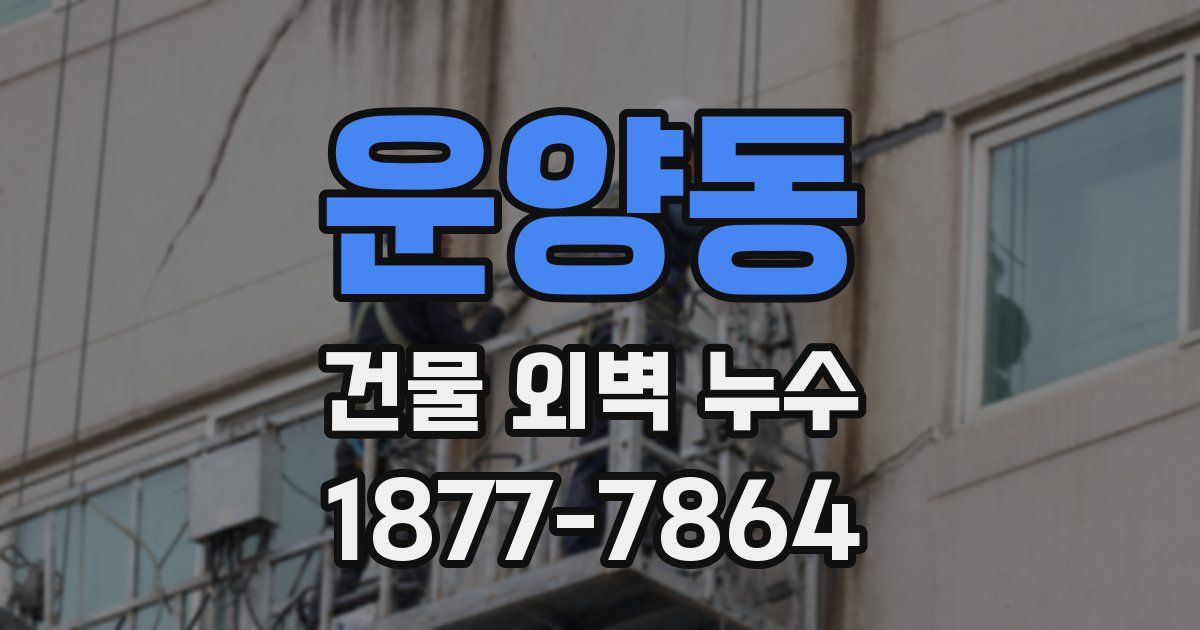 운양동 건물 외벽 누수