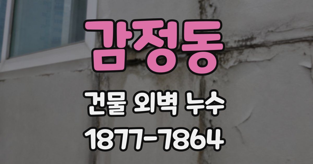 감정동 건물 외벽 누수