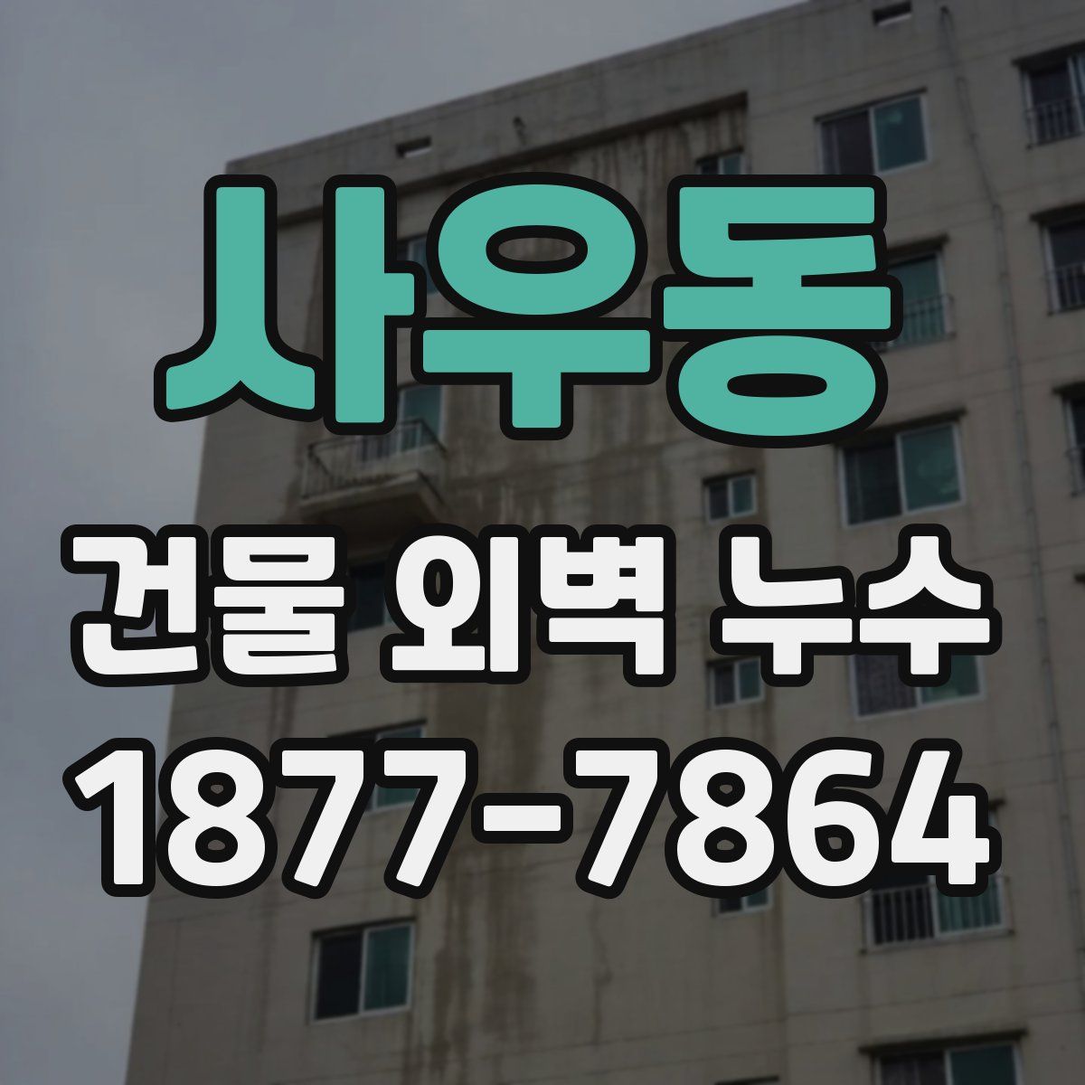 사우동 건물 외벽 누수