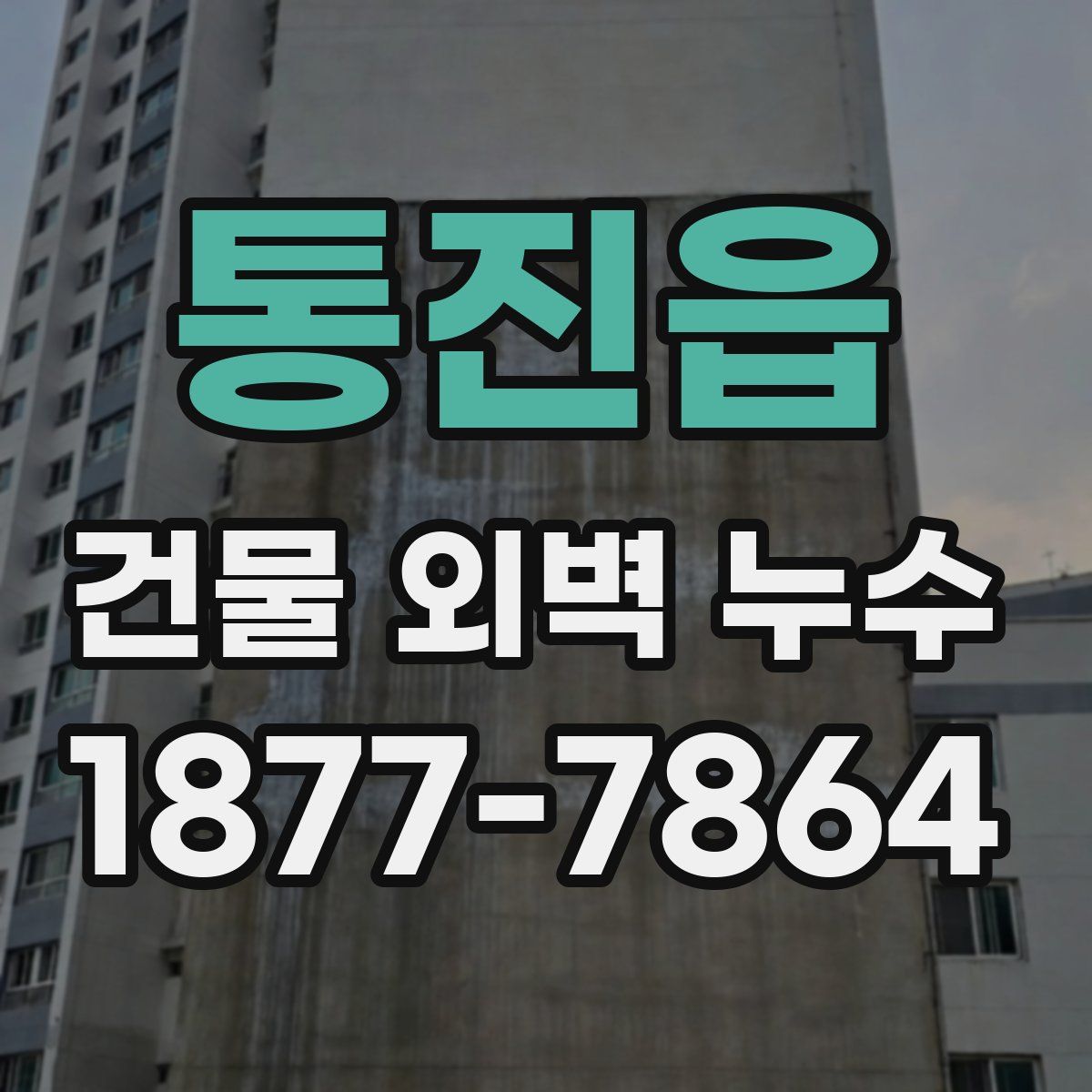 통진읍 건물 외벽 누수
