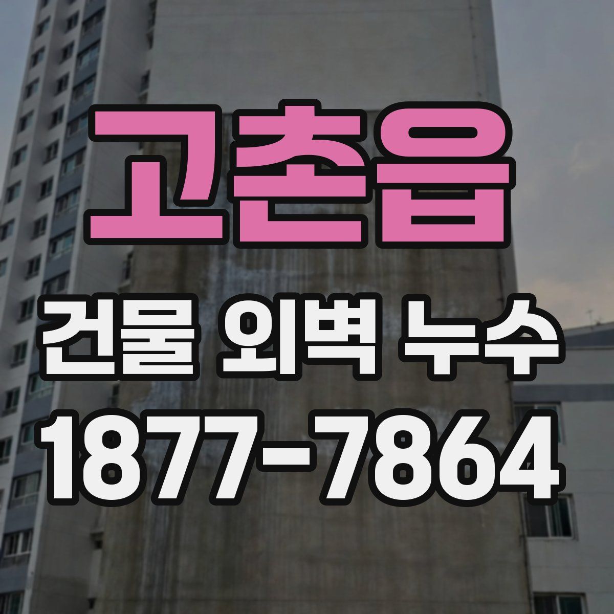 고촌읍 건물 외벽 누수