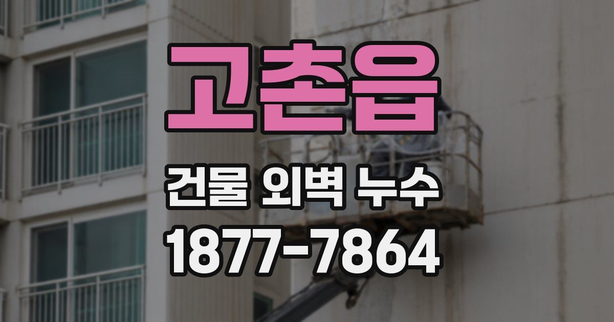 고촌읍 건물 외벽 누수