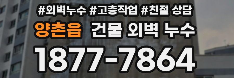 양촌읍 건물 외벽 누수
