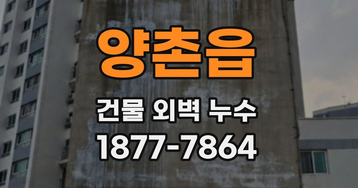 양촌읍 건물 외벽 누수