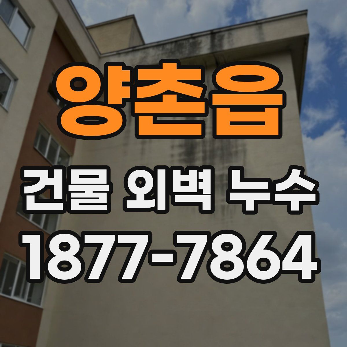 양촌읍 건물 외벽 누수