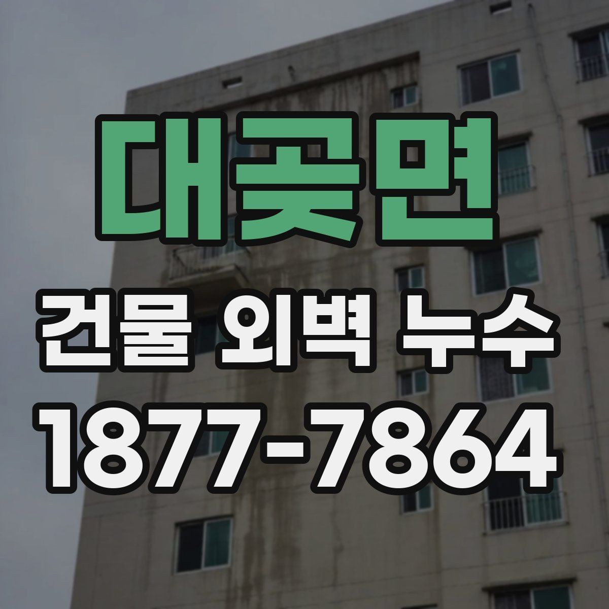 대곶면 건물 외벽 누수 정밀 점검이 필요한 징후