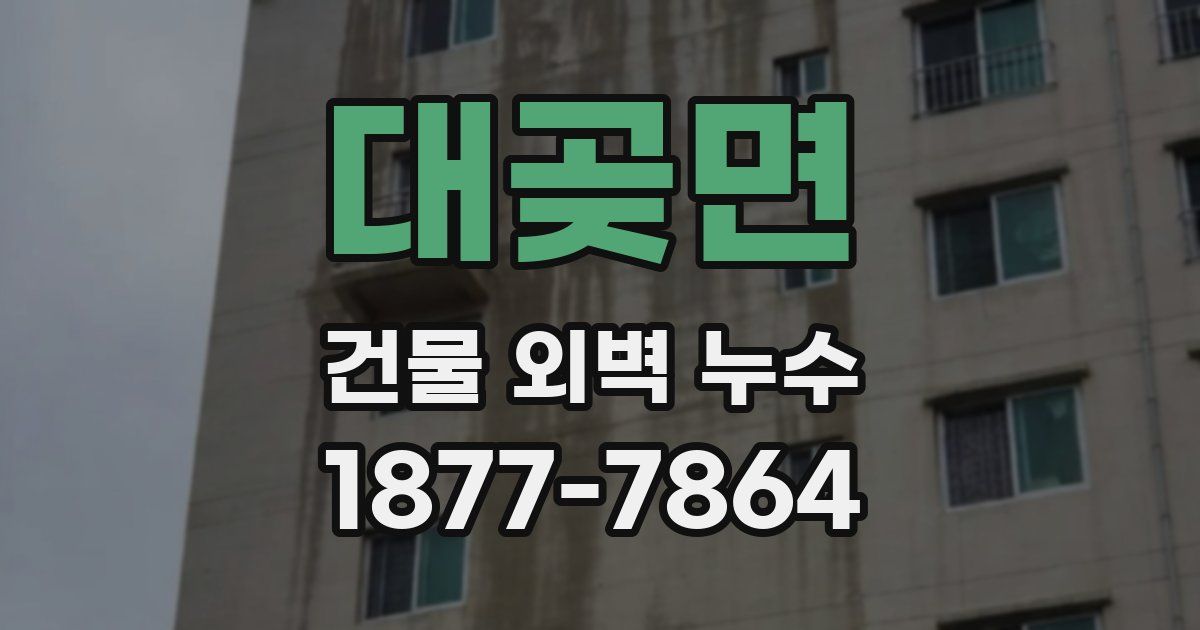 대곶면 건물 외벽 누수