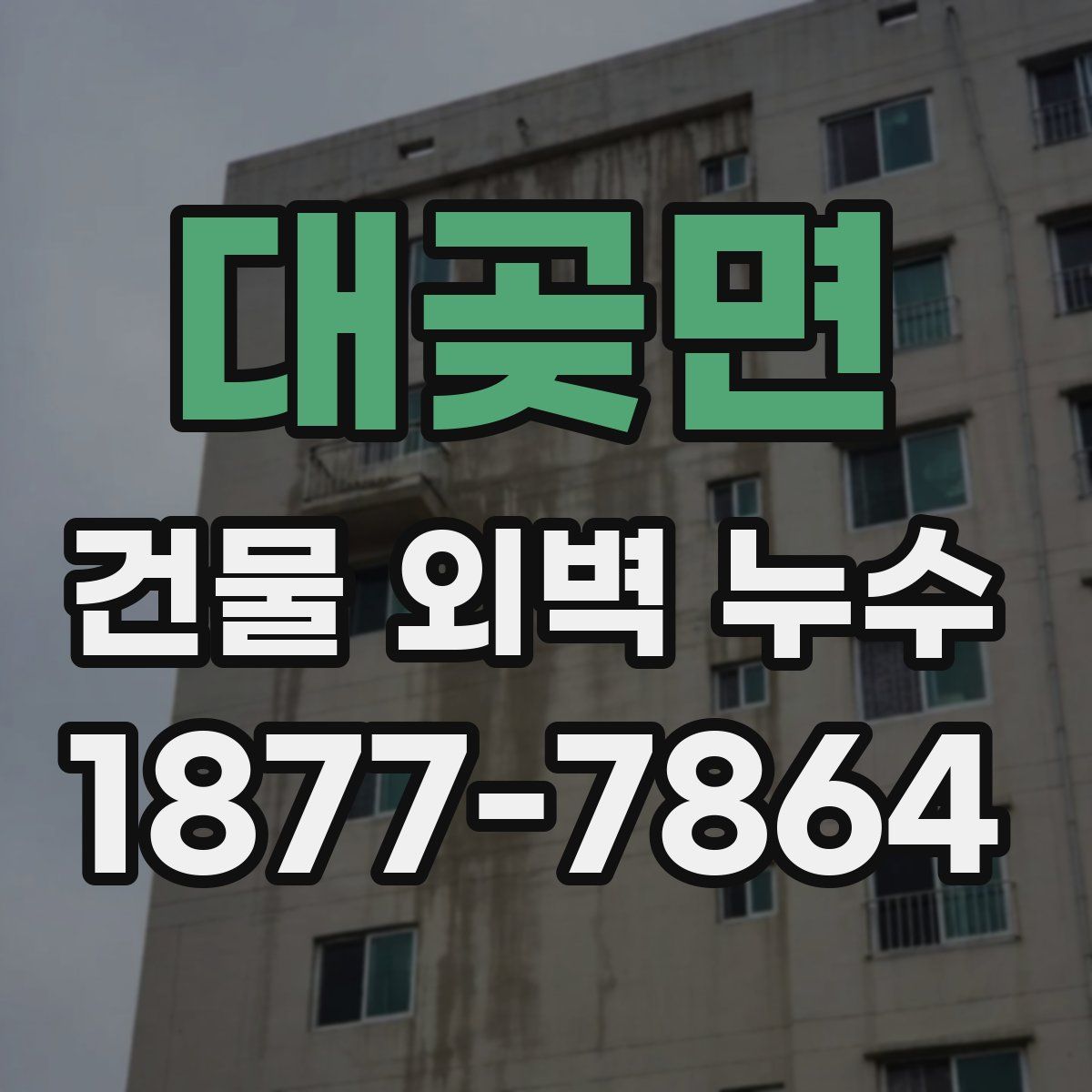 대곶면 건물 외벽 누수