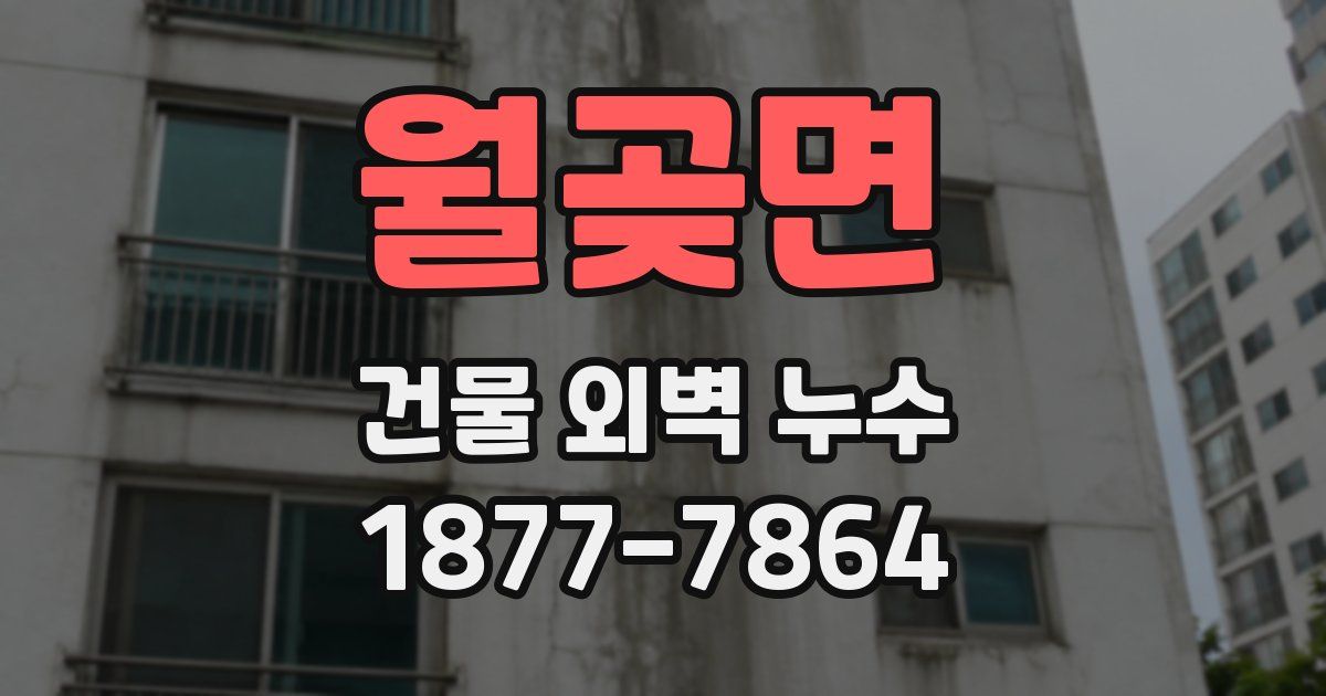 월곶면 건물 외벽 누수