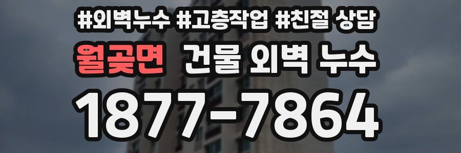월곶면 건물 외벽 누수