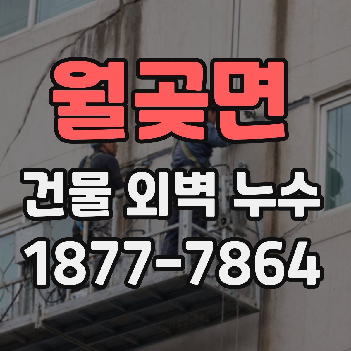 월곶면 건물 외벽 누수