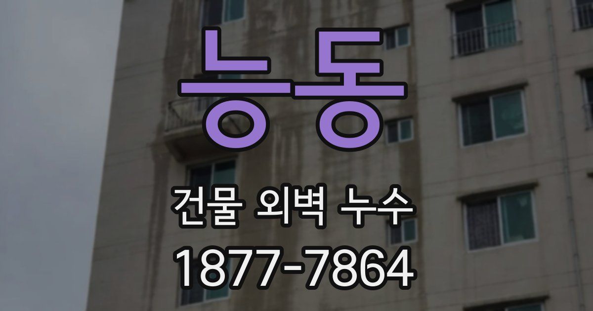능동 건물 외벽 누수