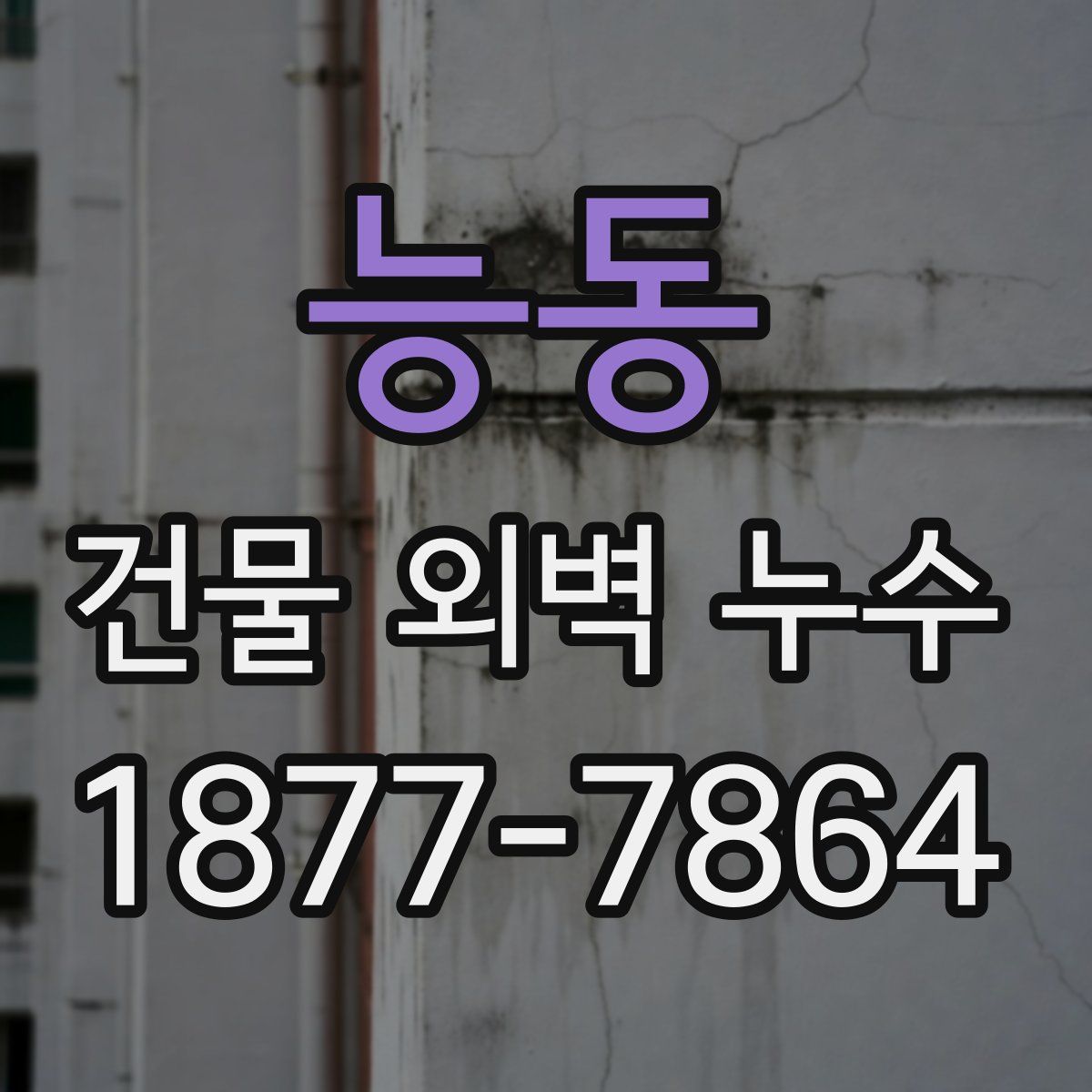 능동 건물 외벽 누수