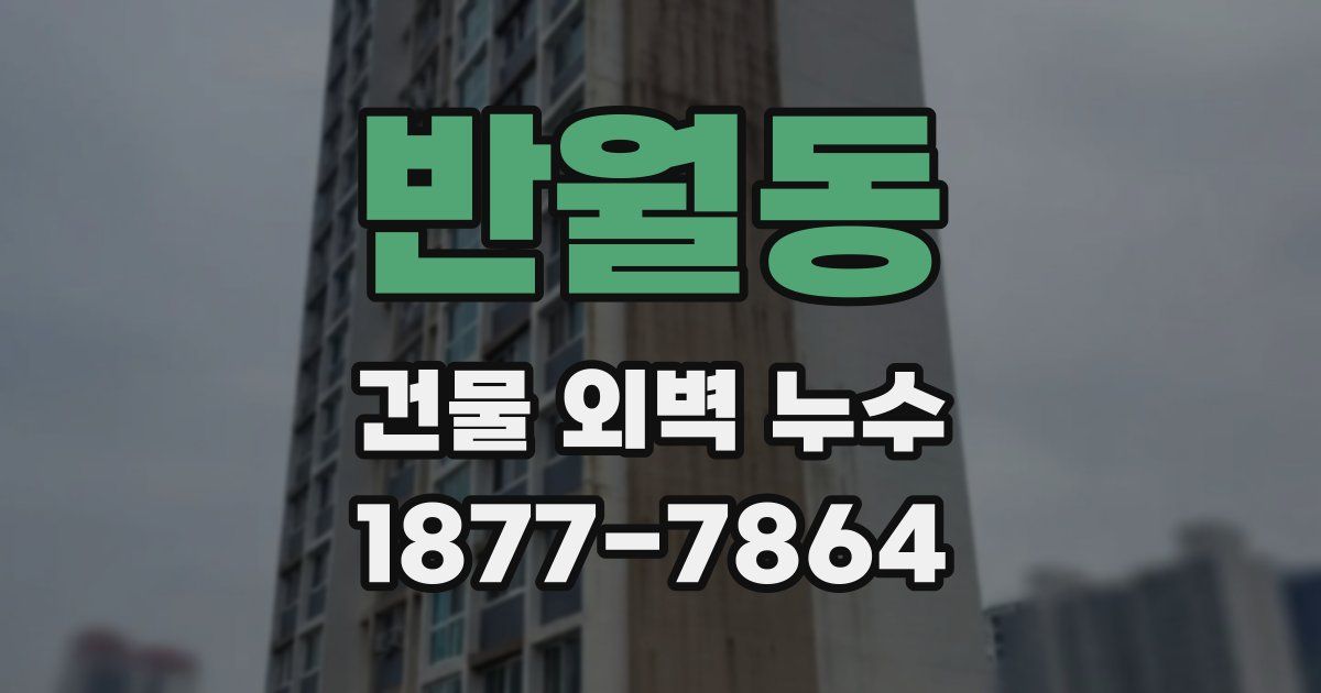 반월동 건물 외벽 누수