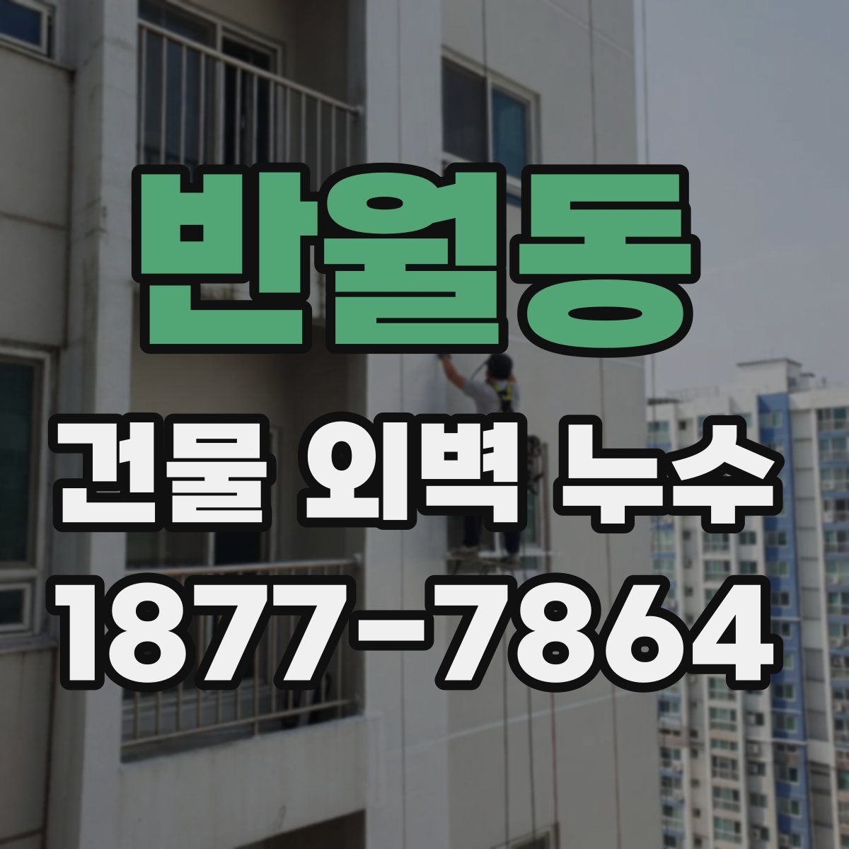 반월동 건물 외벽 누수