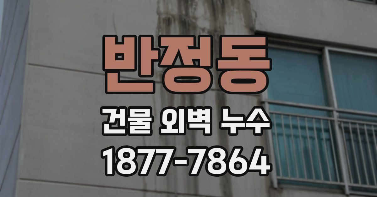 반정동 건물 외벽 누수